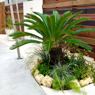 INTER PLANTS