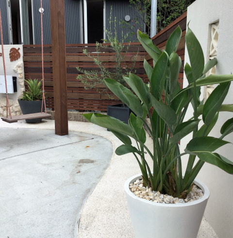 INTER PLANTS